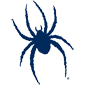 Spiders